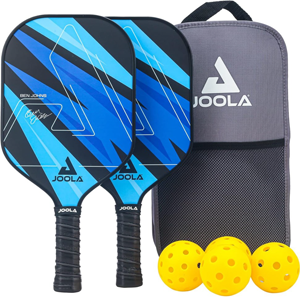 Pickleball set with two paddles, balls, and a case.