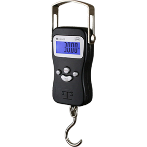 Luggage scale