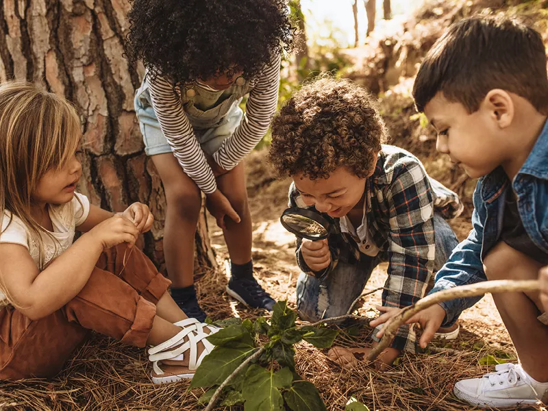 Four children bending down on the forest floor examining nature