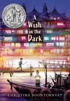 A wish in the dark cover