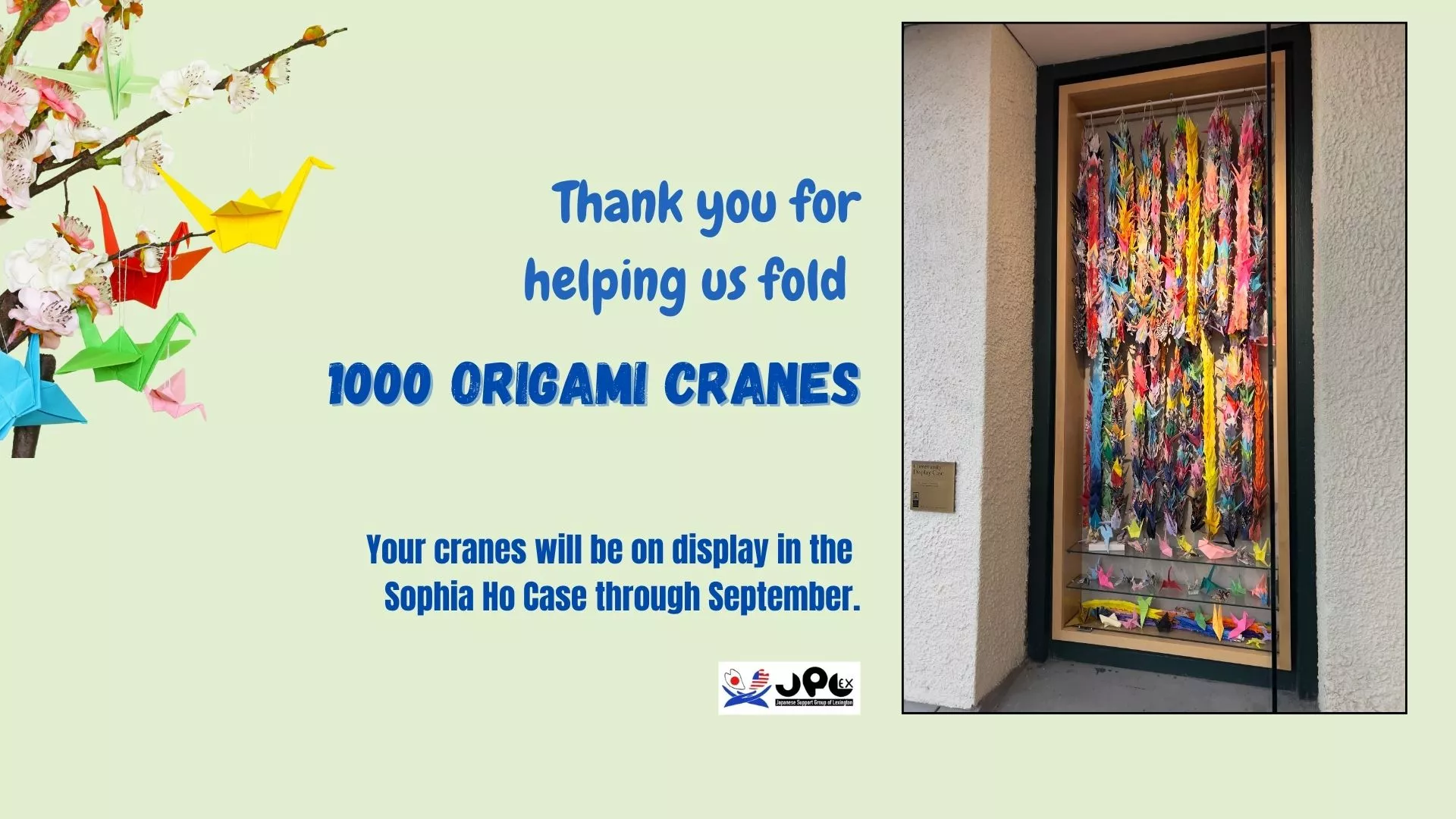 Thank You for Helping Us Fold 1000 Origami Cranes. Your cranes will be on display in the Sophia Ho Case Through September.
