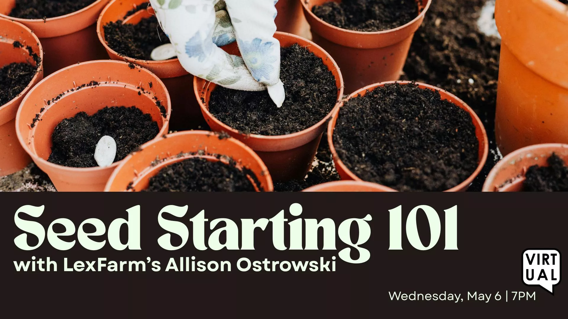 Wed May 6 at 7 PM - Virtual - Seed Starting 101. With LexFarm's Allison Ostrowski.
