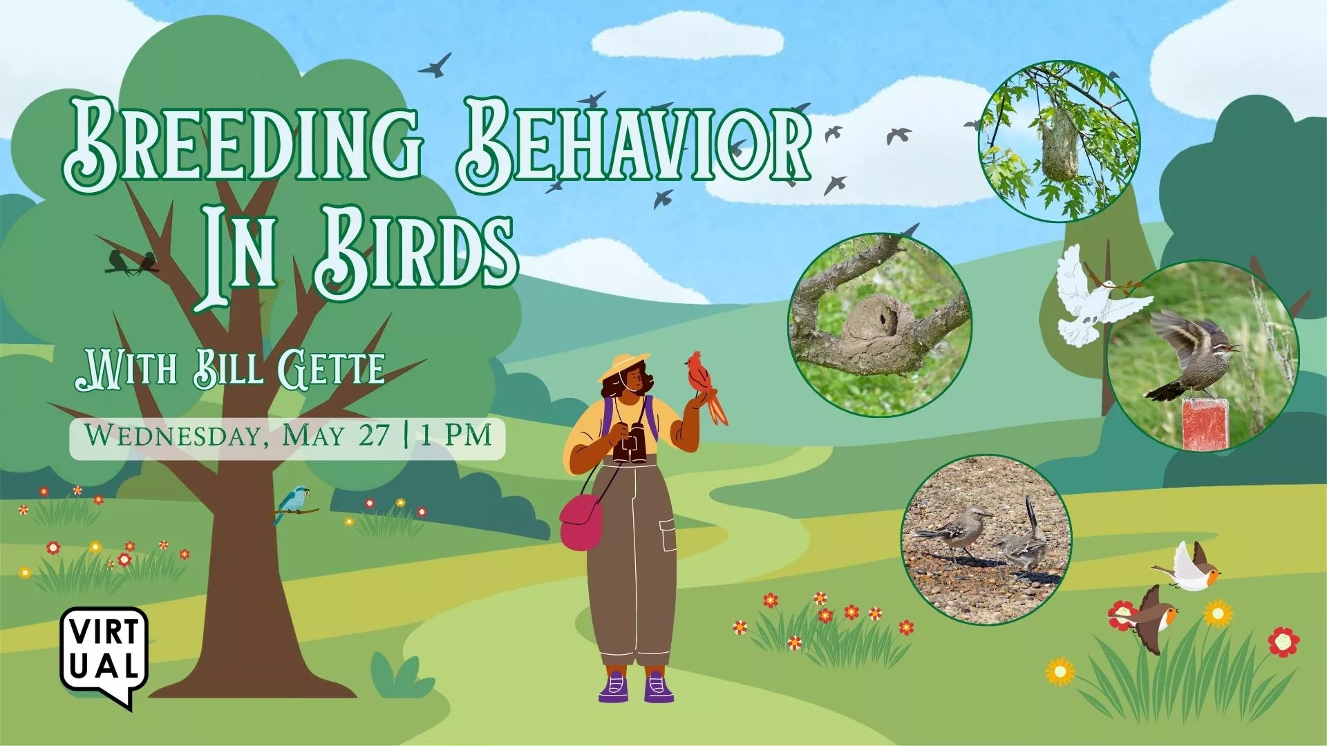 Wed May 27 at 1 PM - Virtual - Breeding Behavior in Birds. With Bill Gette.